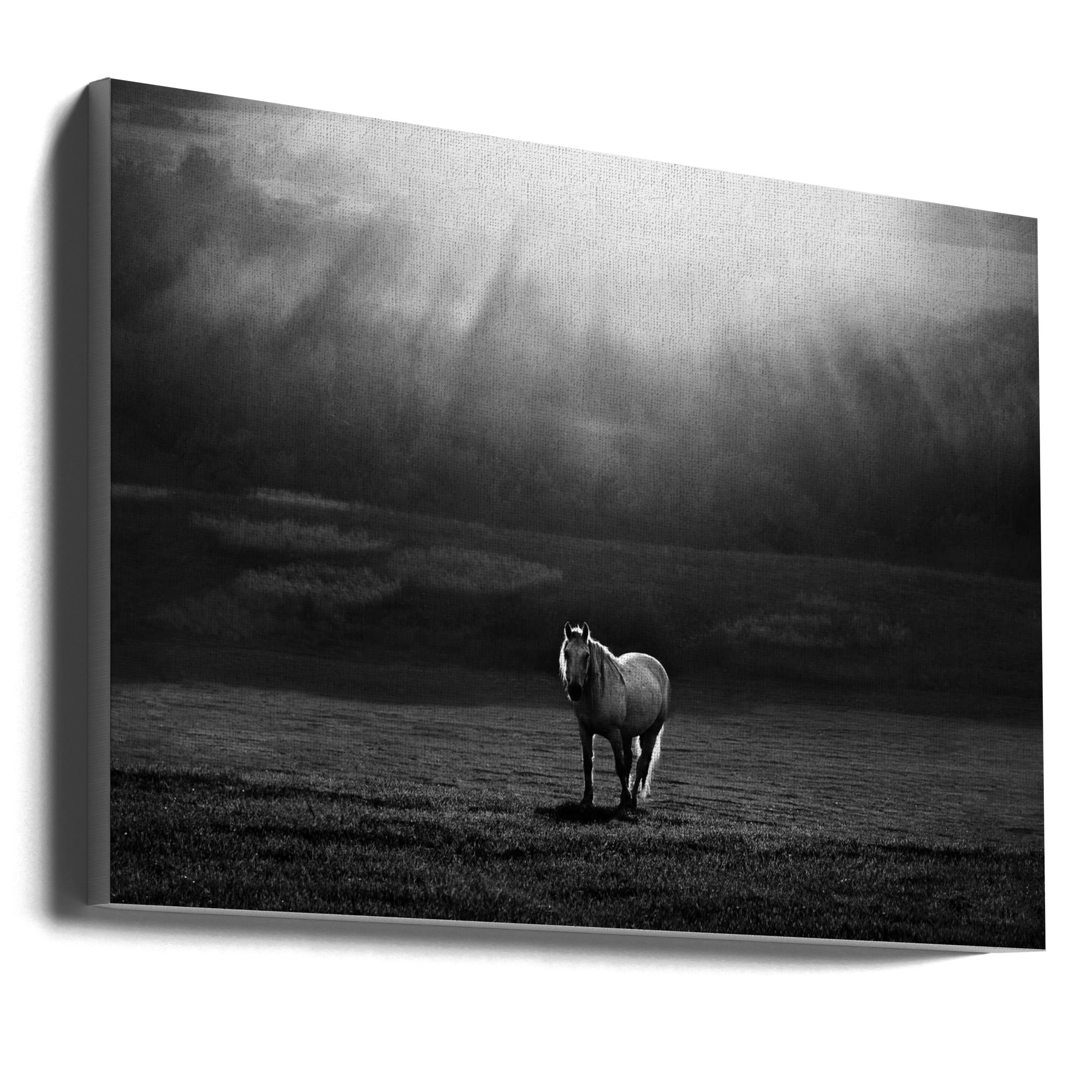 Wall art morning appearance. Hourses-Canvas Print-DECOROLALA