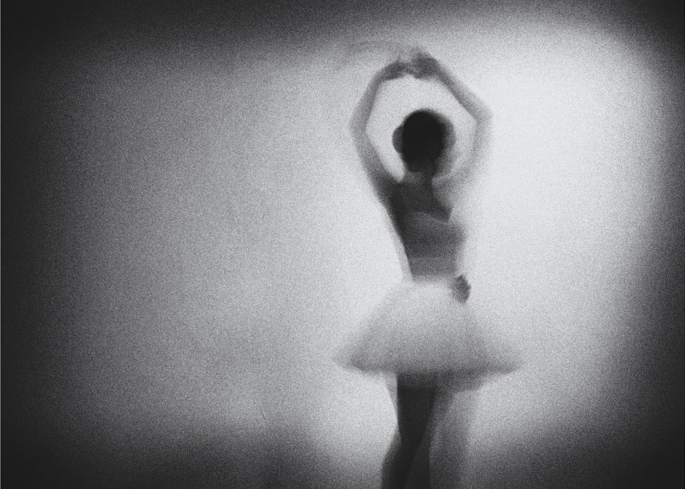 Wall art n/t-Canvas Print-DECOROLALA