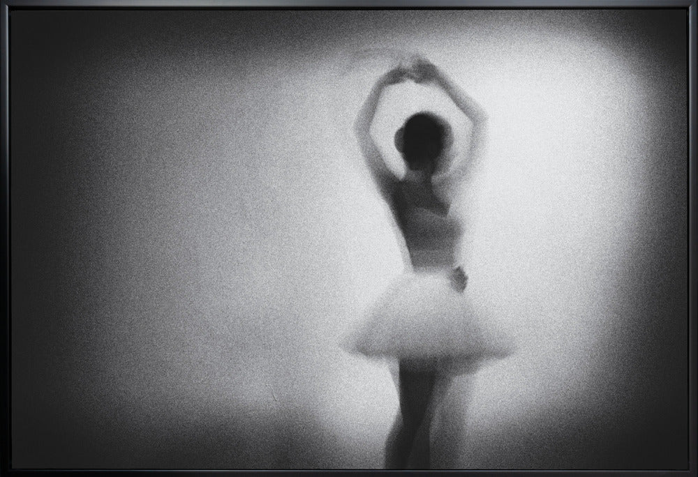 Wall art n/t-Canvas Print-DECOROLALA