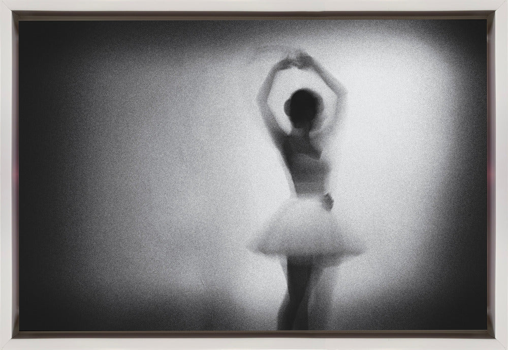 Wall art n/t-Canvas Print-DECOROLALA