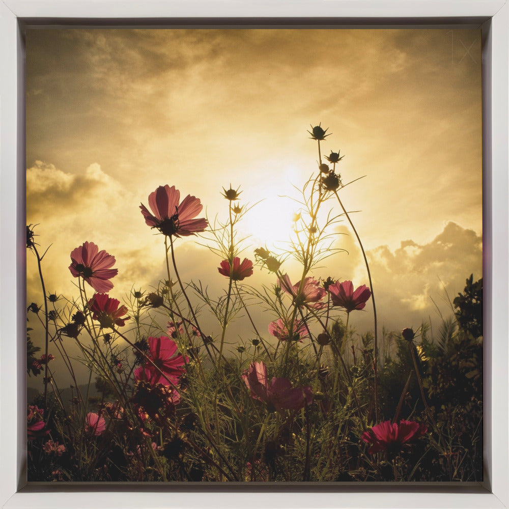 Watching the Sun-canvas-DECOROLALA
