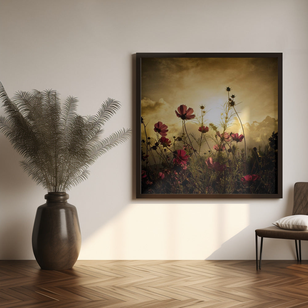 Watching the Sun-canvas-DECOROLALA