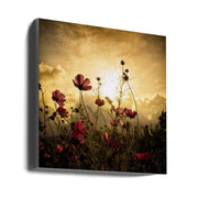 Watching the Sun-canvas-DECOROLALA