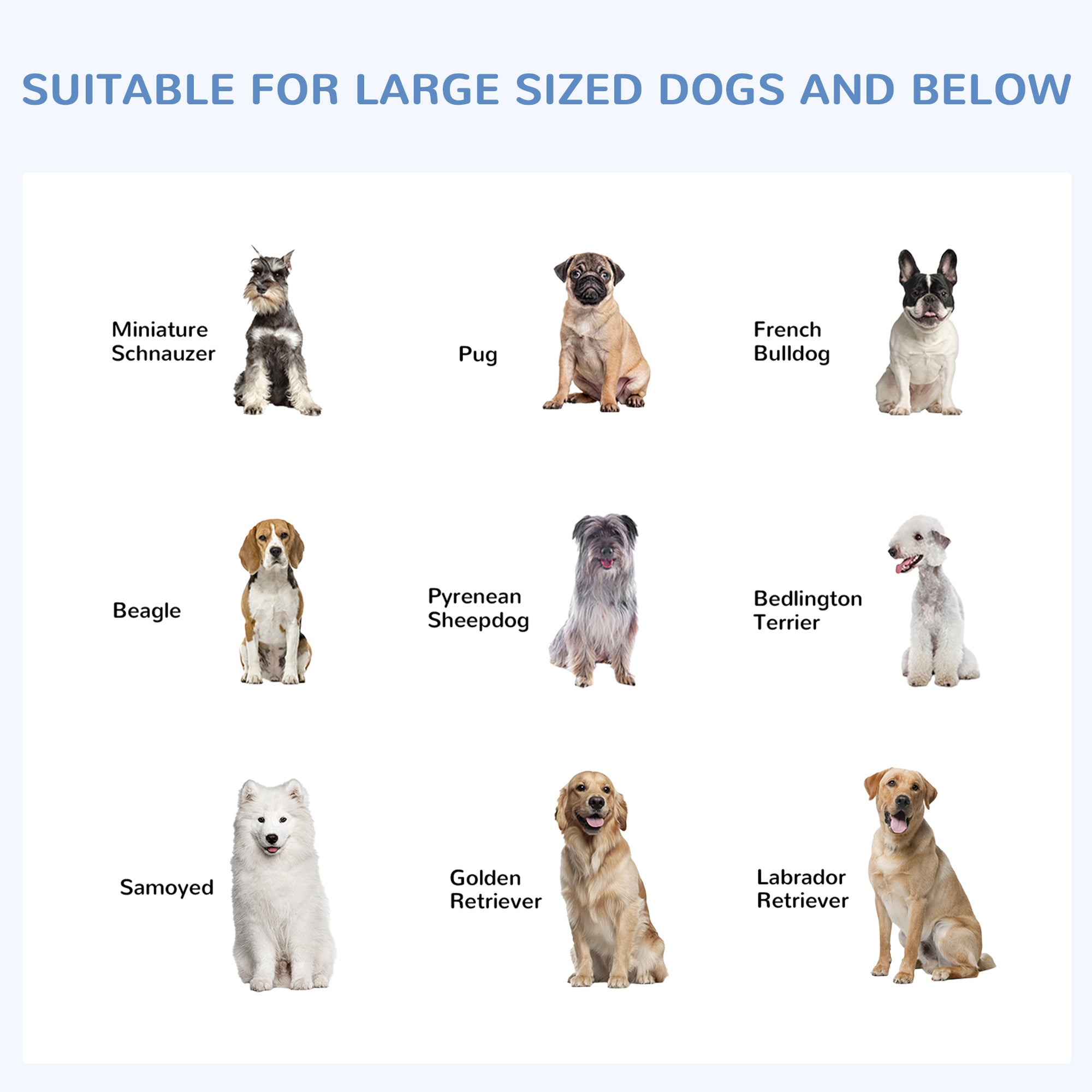 Enclos extérieur pour chien avec toit, serrure en acier et parois latérales grillagées pour jardin et terrasse, 9,8' x 9,8' x 7,7'