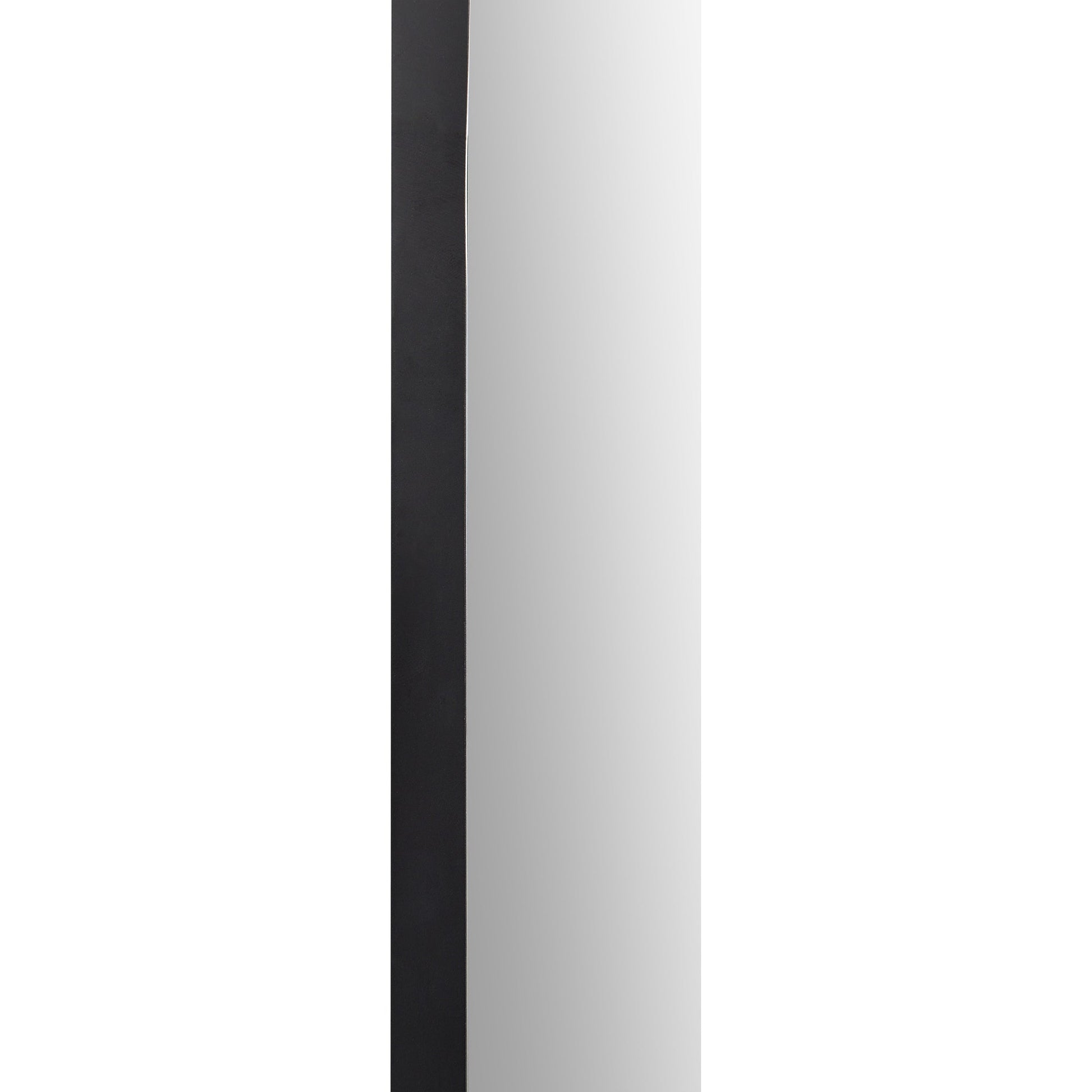 Webster 40" Tall Oval Wall Mirror, Black-Mirror-DECOROLALA