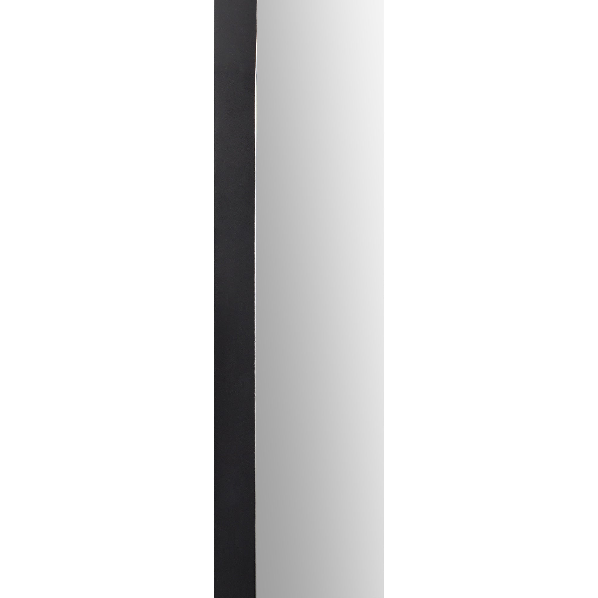 Webster 40" Tall Oval Wall Mirror, Black-Mirror-DECOROLALA