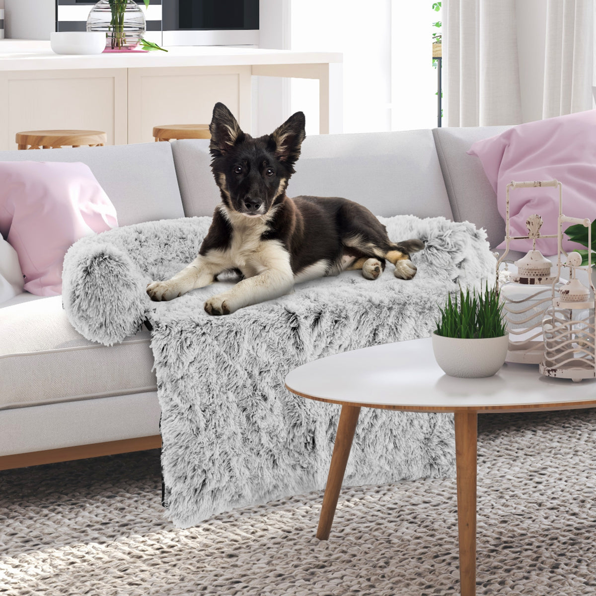 White Plush Calming Dog Couch Bed with Anti-Slip Bottom-M-Dog Supplies-DECOROLALA