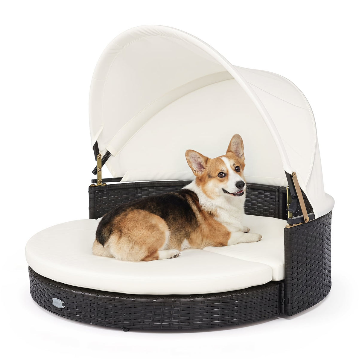 Wicker Dog House with Retractable Canopy & Removable Cushion for Small Medium Dogs-White-Dog Supplies-DECOROLALA