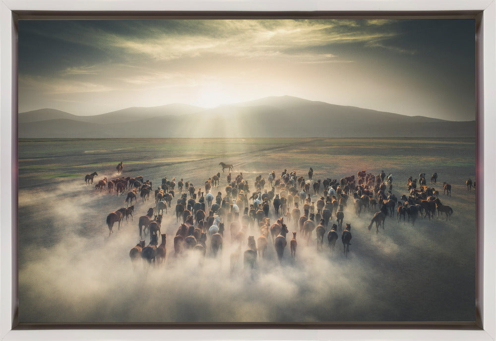 Wild Horses by Cuma Cevik Wall Art-canvas-DECOROLALA
