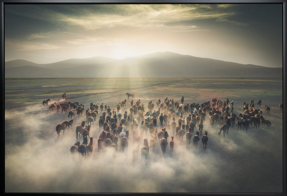 Wild Horses by Cuma Cevik Wall Art-canvas-DECOROLALA