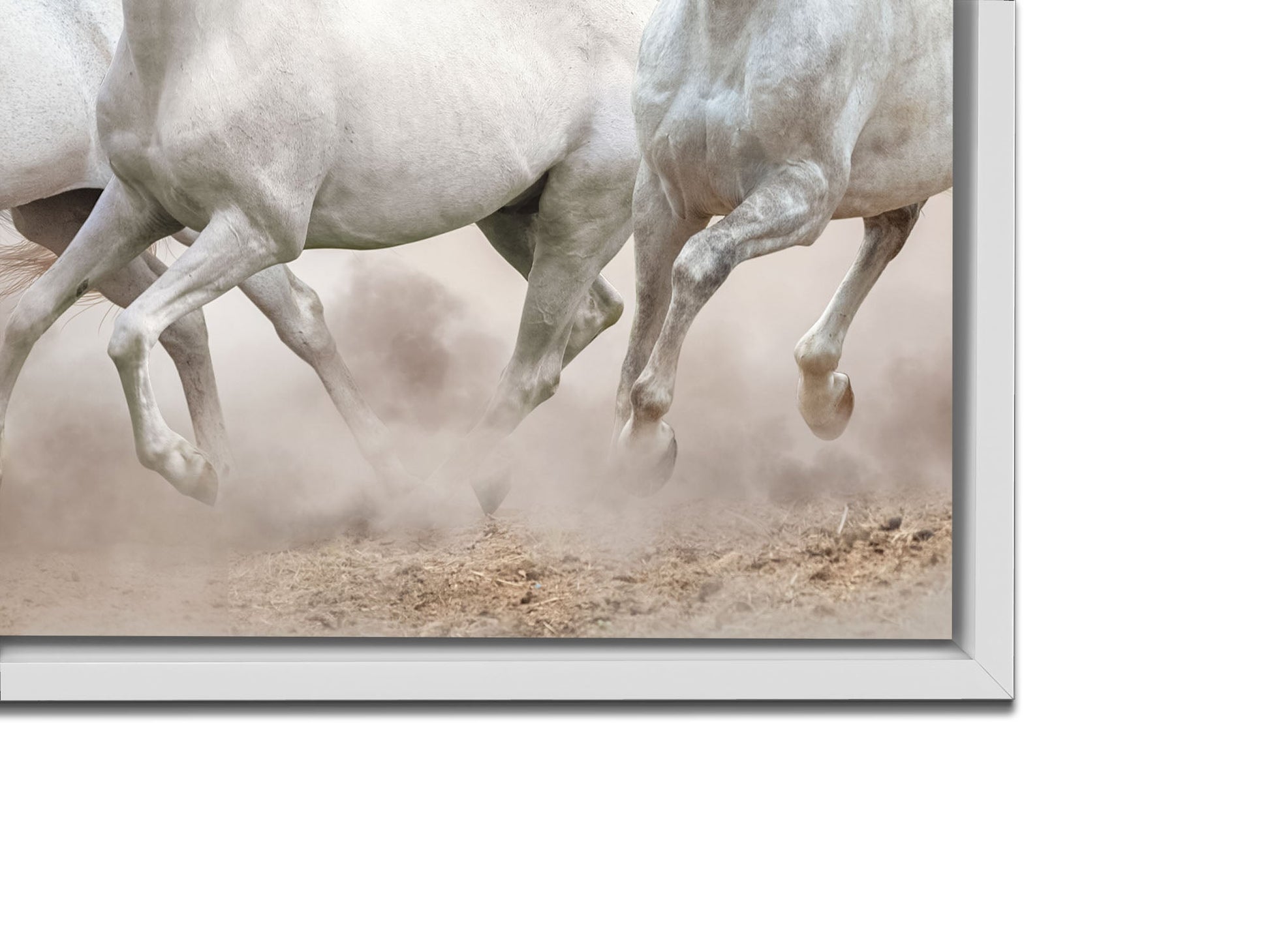 Wildlife Canvas-Arabian Horses White Sky-Wall Art-Wall Art-DECOROLALA