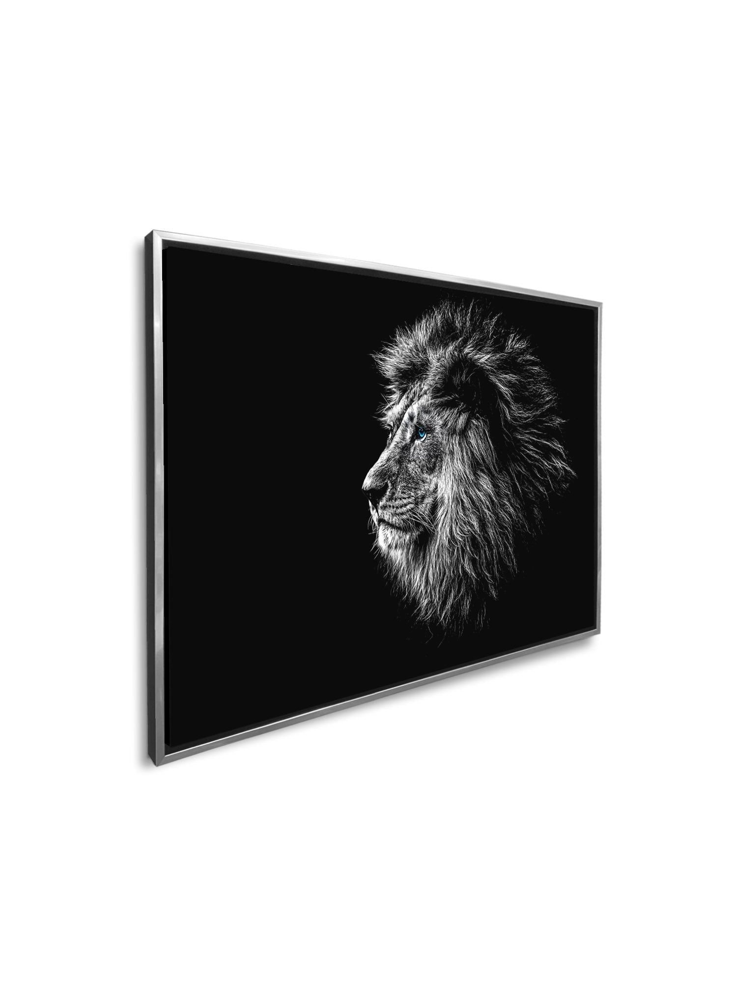 Wildlife Canvas Art-Lions Head Blue Eye in Black and White -Silver varnish-Wall Art-DECOROLALA