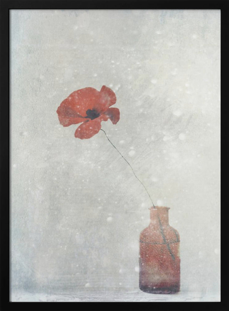 Winter Poppy Wall Art by Delphine Devos-canvas-DECOROLALA