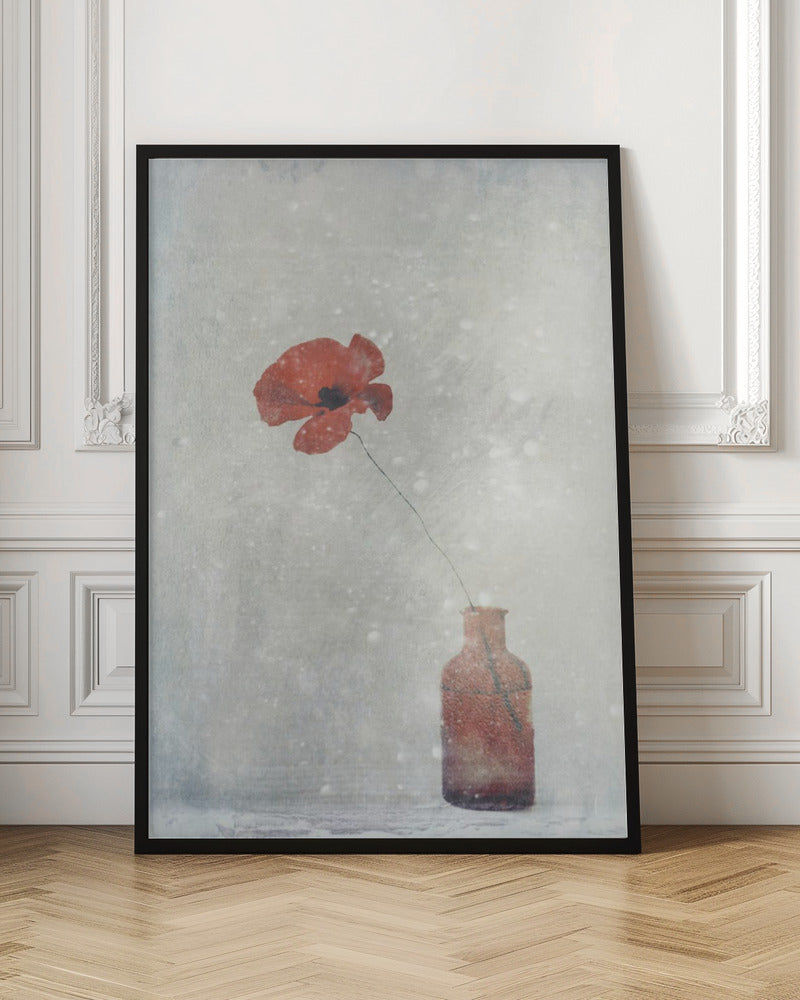 Winter Poppy Wall Art by Delphine Devos-canvas-DECOROLALA