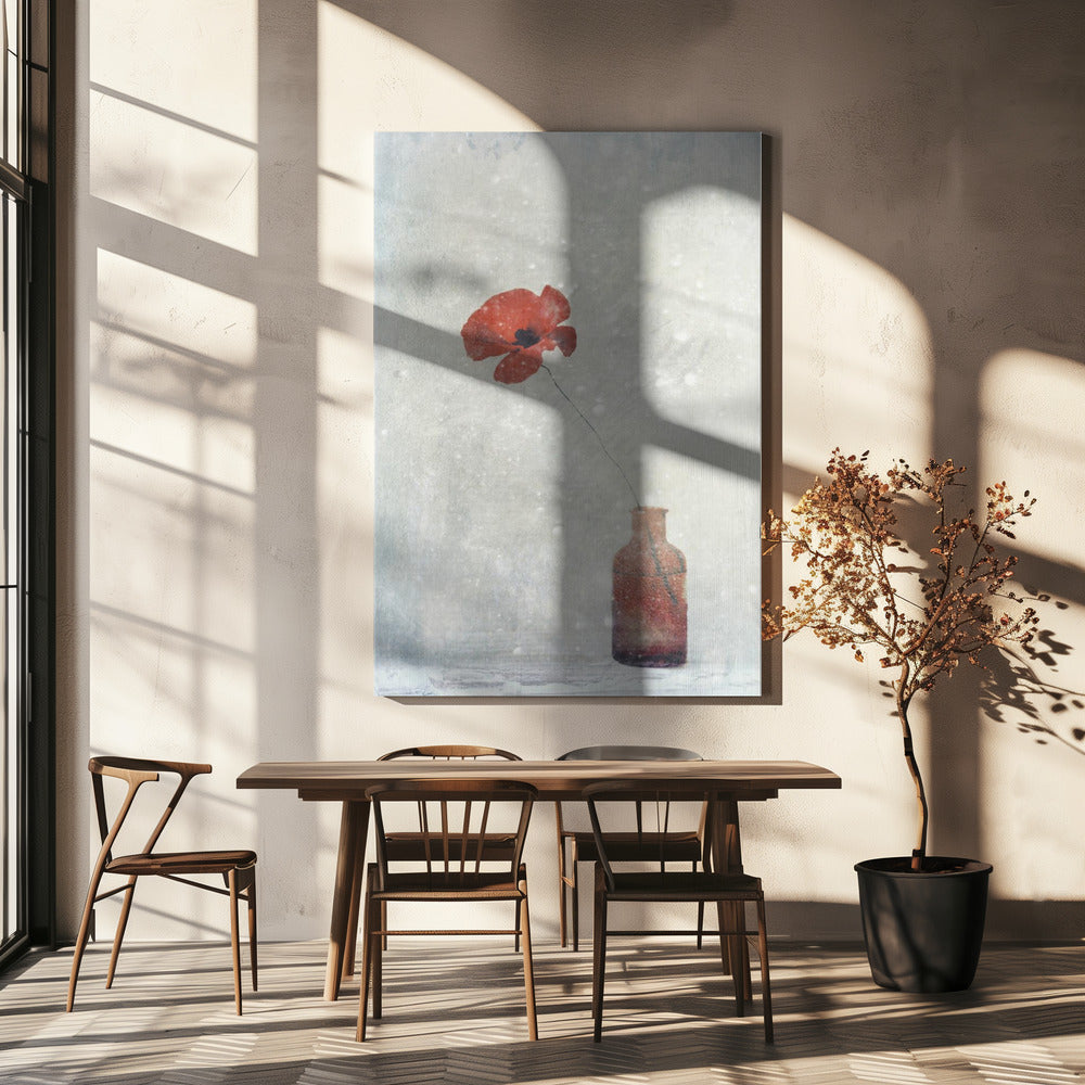 Winter Poppy Wall Art by Delphine Devos-canvas-DECOROLALA