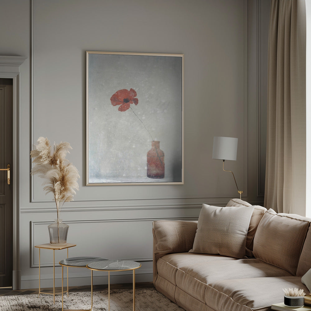 Winter Poppy Wall Art by Delphine Devos-canvas-DECOROLALA