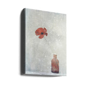 Winter Poppy Wall Art by Delphine Devos-canvas-DECOROLALA