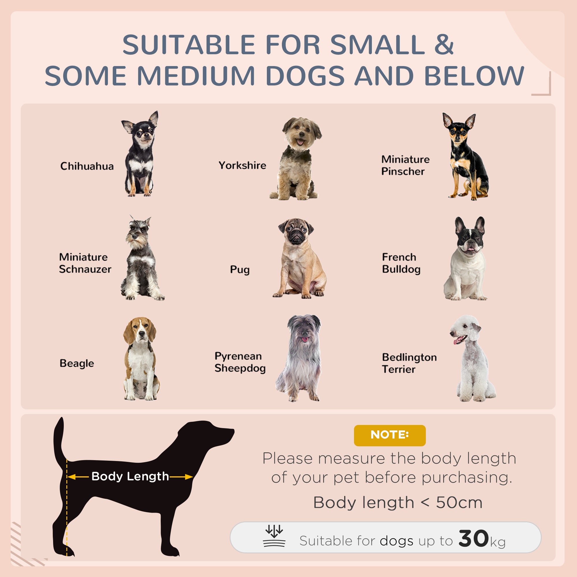 Maison pour animaux en osier, lit pour chien, mobilier en rotin d’intérieur/extérieur avec coussin