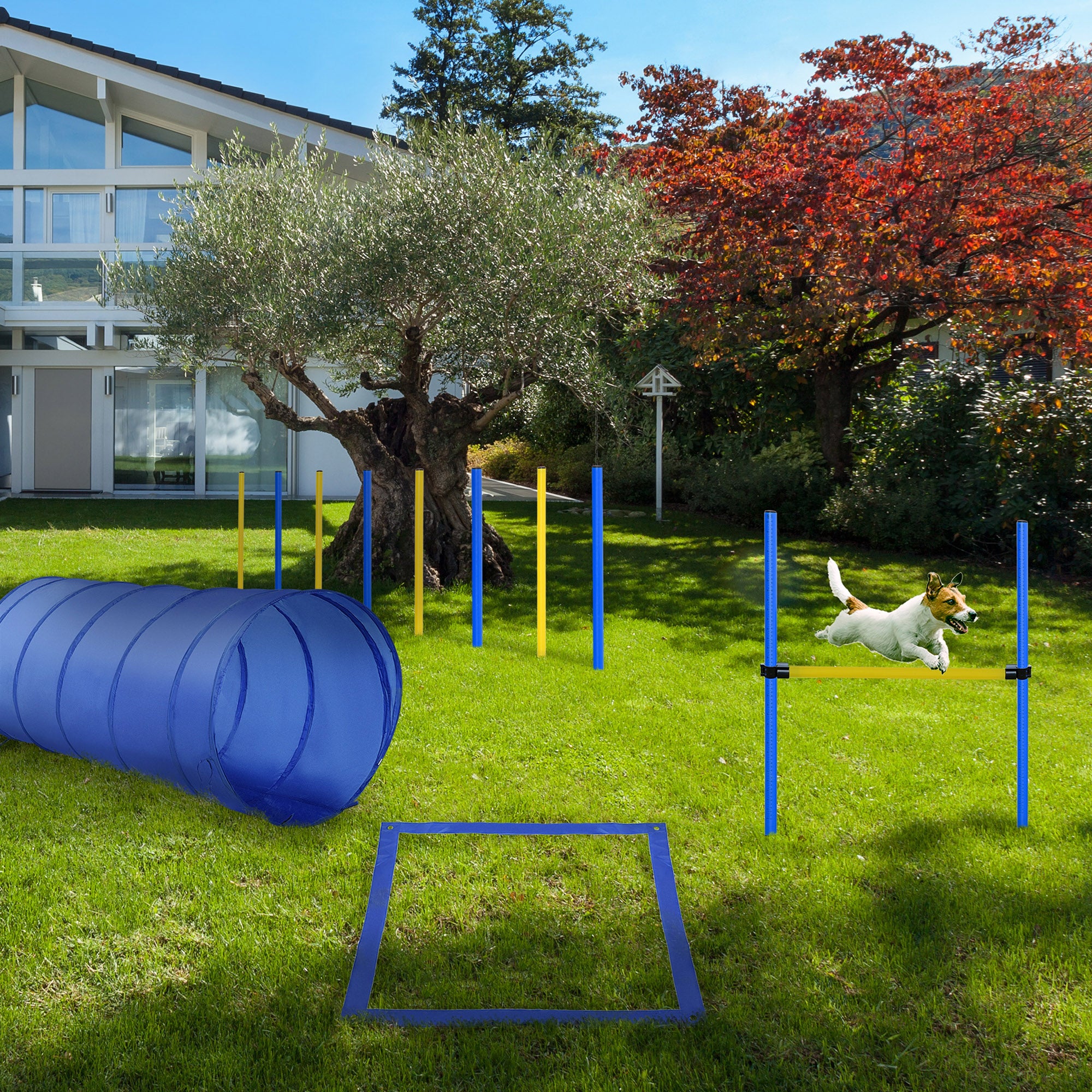 Dog Agility Starter Kit Pet Outdoor Exercise Training Set Tunnel 8 Weave Poles High Jumper