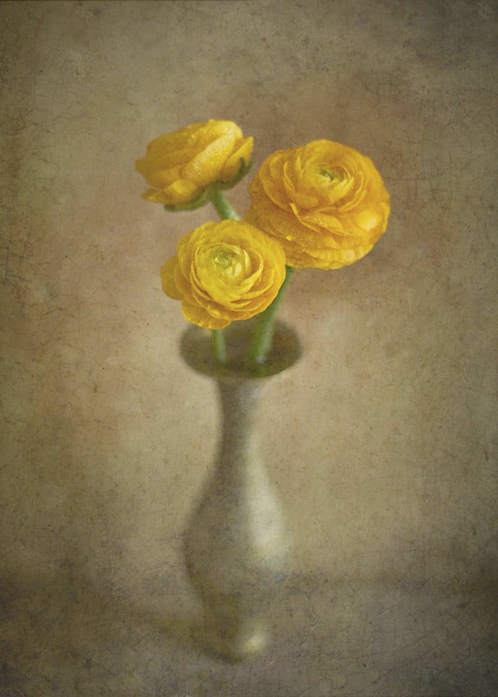 Yellow buttercups-canvas-DECOROLALA