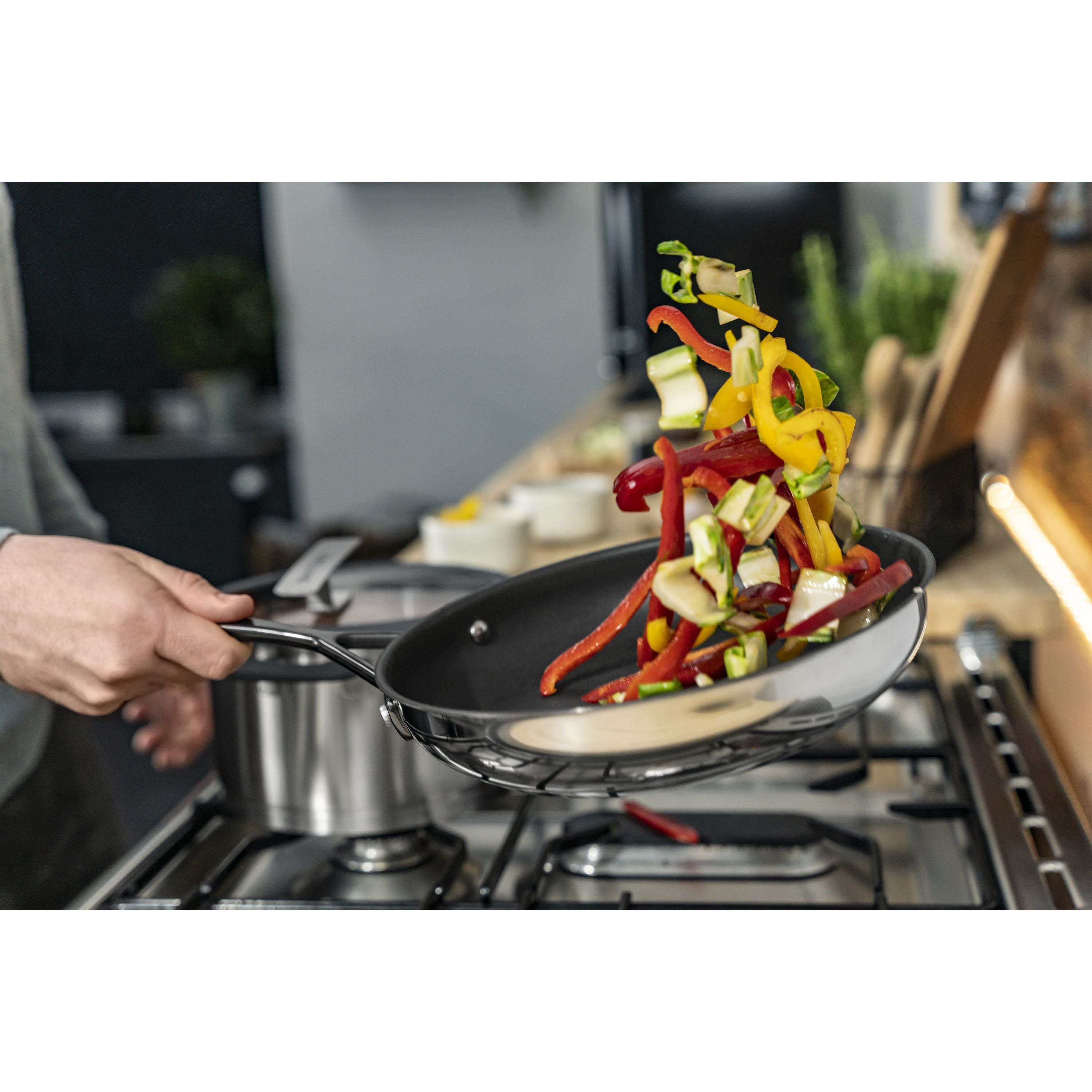 ZWILLING Bellasera 24 cm / 9.5 Inch 18/10 Stainless Steel Frying Pan-Frying Pan-DECOROLALA