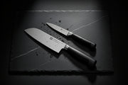 ZWILLING FOUR STAR 2 Piece, Knife Set-n/a-DECOROLALA