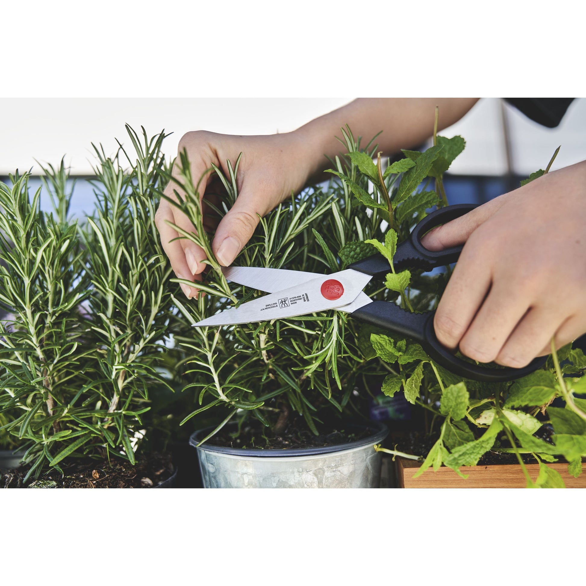 ZWILLING **** Four Star 7 Piece Knife Block Set, Nature-Knife Set-DECOROLALA