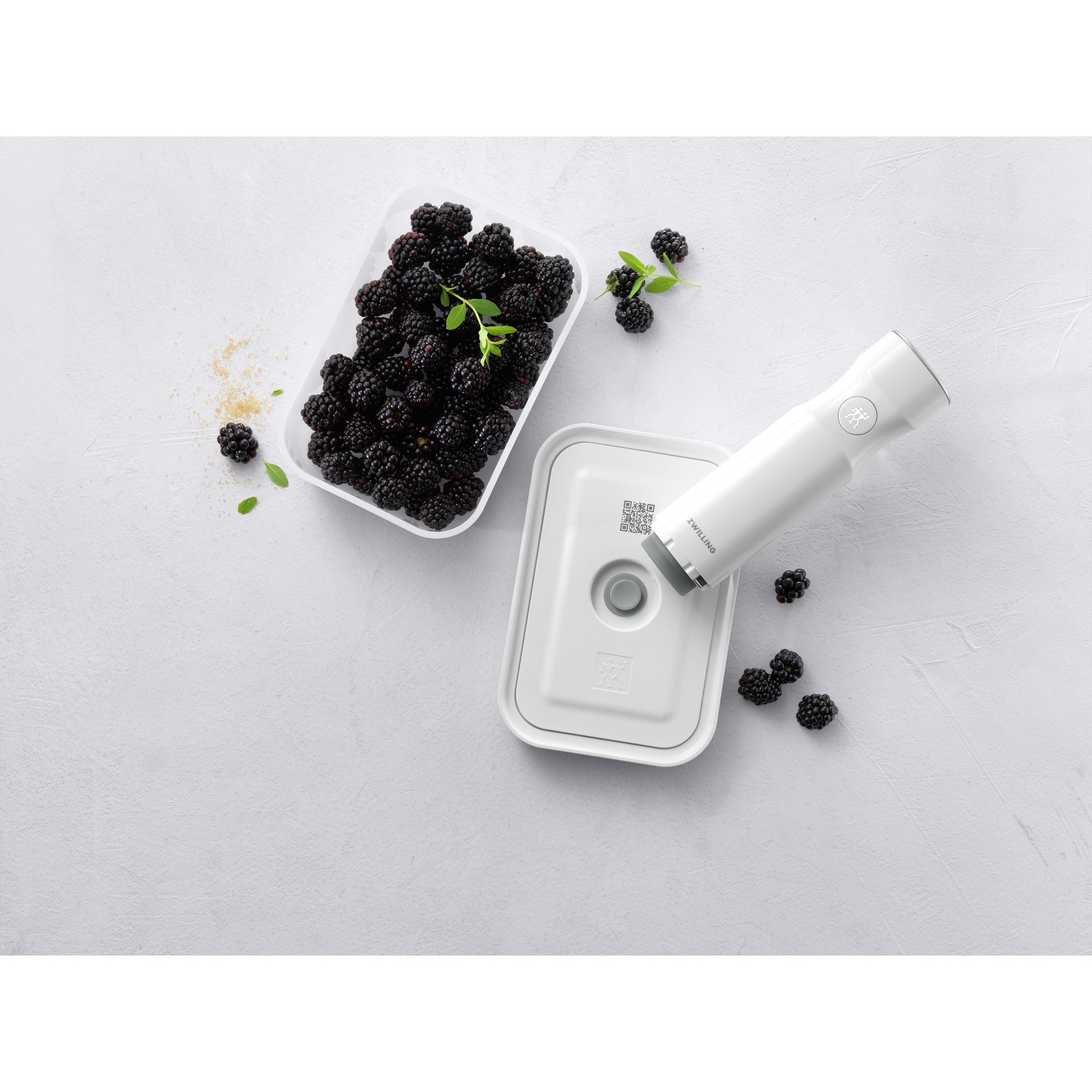 ZWILLING Fresh & Save M Vacuum Box, Plastic, Semitransparent-Grey-Food Storage-DECOROLALA