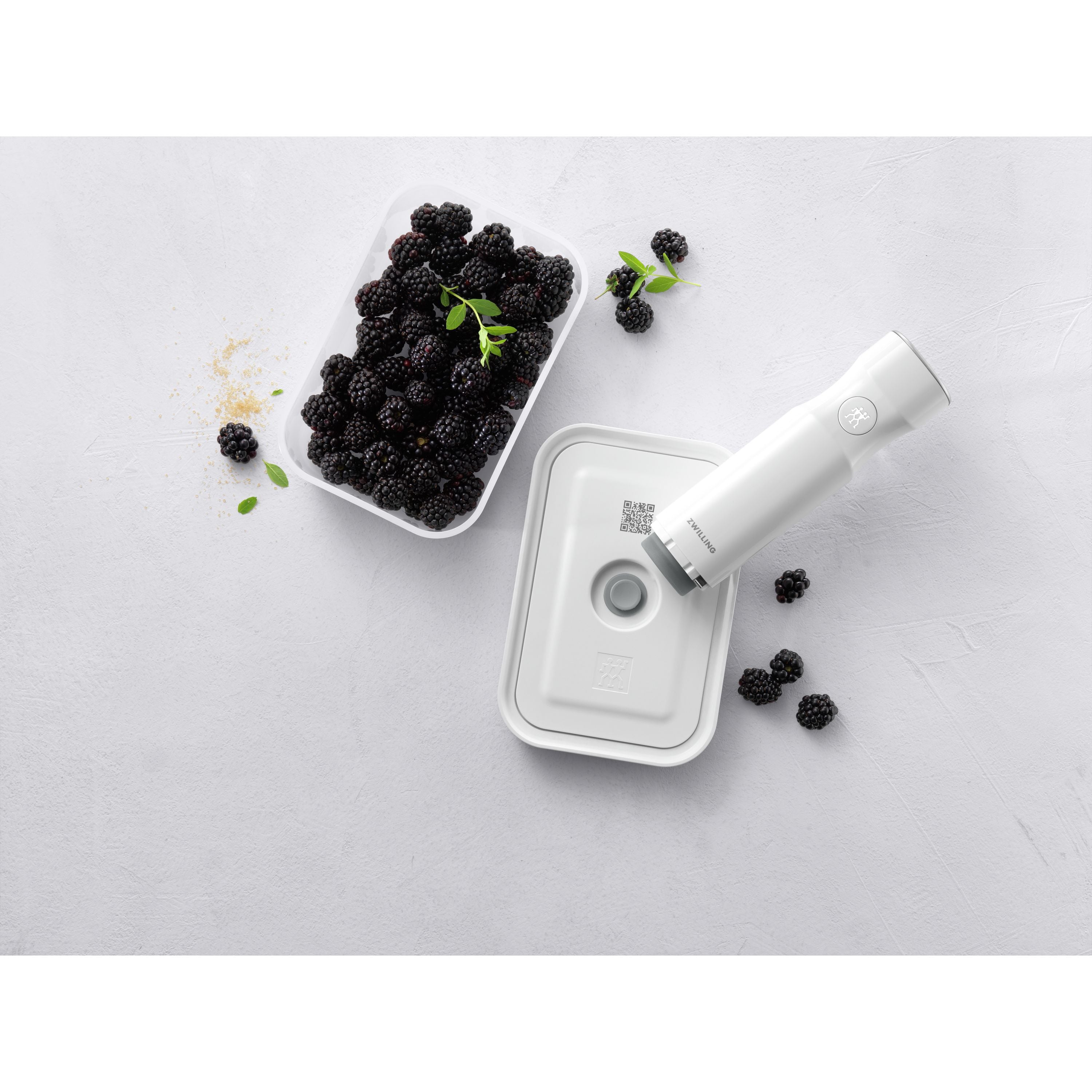 ZWILLING Fresh & Save M Vacuum Box, Plastic, Semitransparent-Grey-Food Storage-DECOROLALA