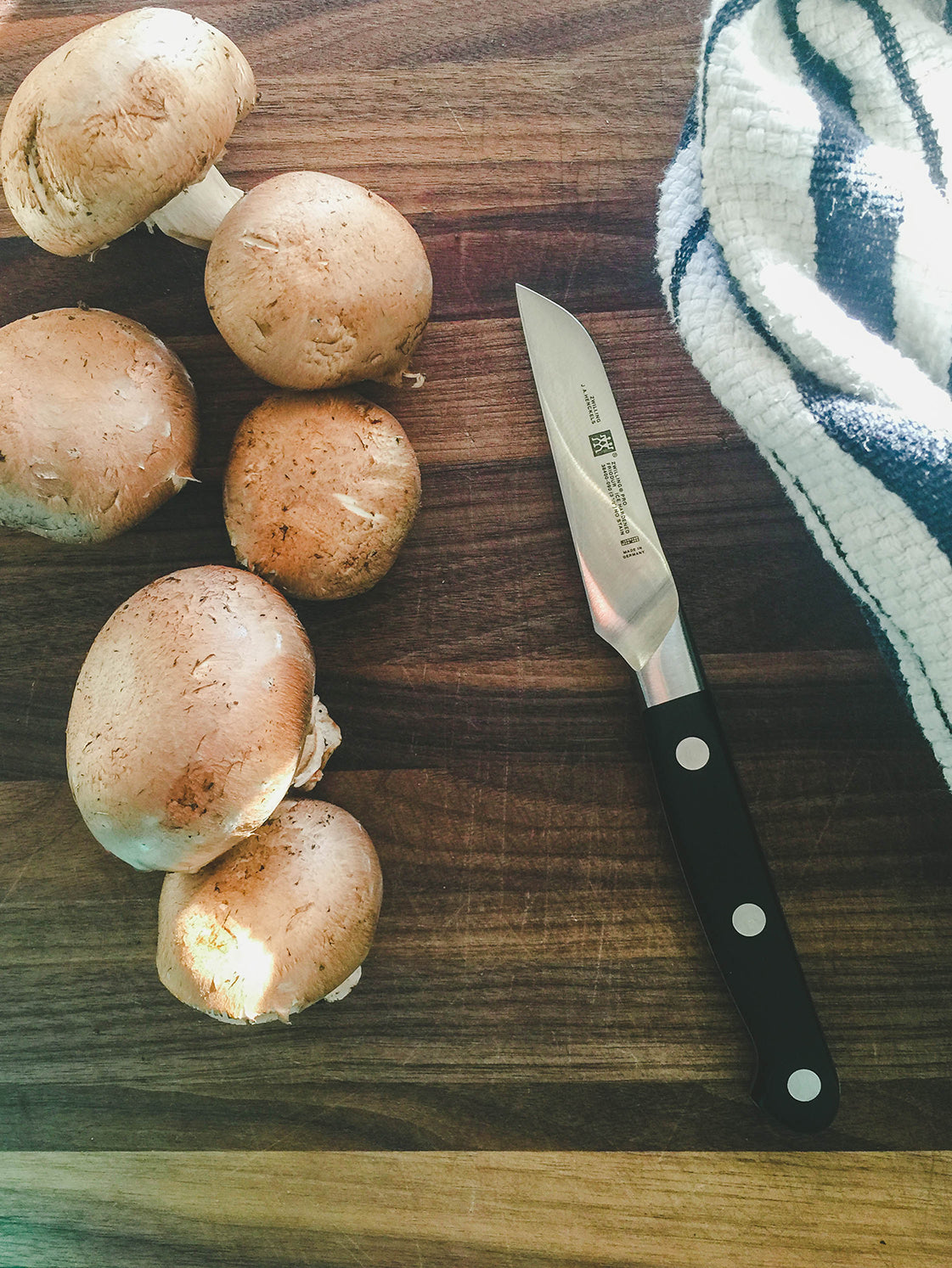 ZWILLING Pro 3 inch Vegetable Knife-Table-DECOROLALA