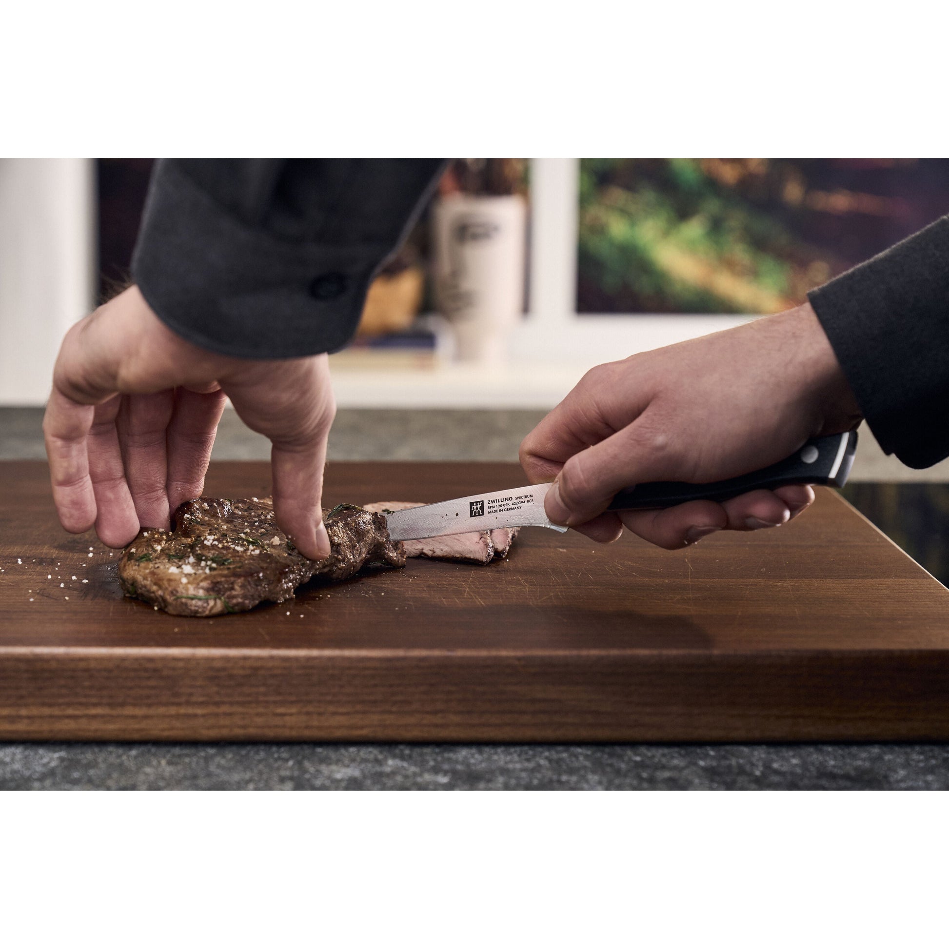 ZWILLING Spectrum 4-Piece Steak Knife Set-Kitchen Tool-DECOROLALA