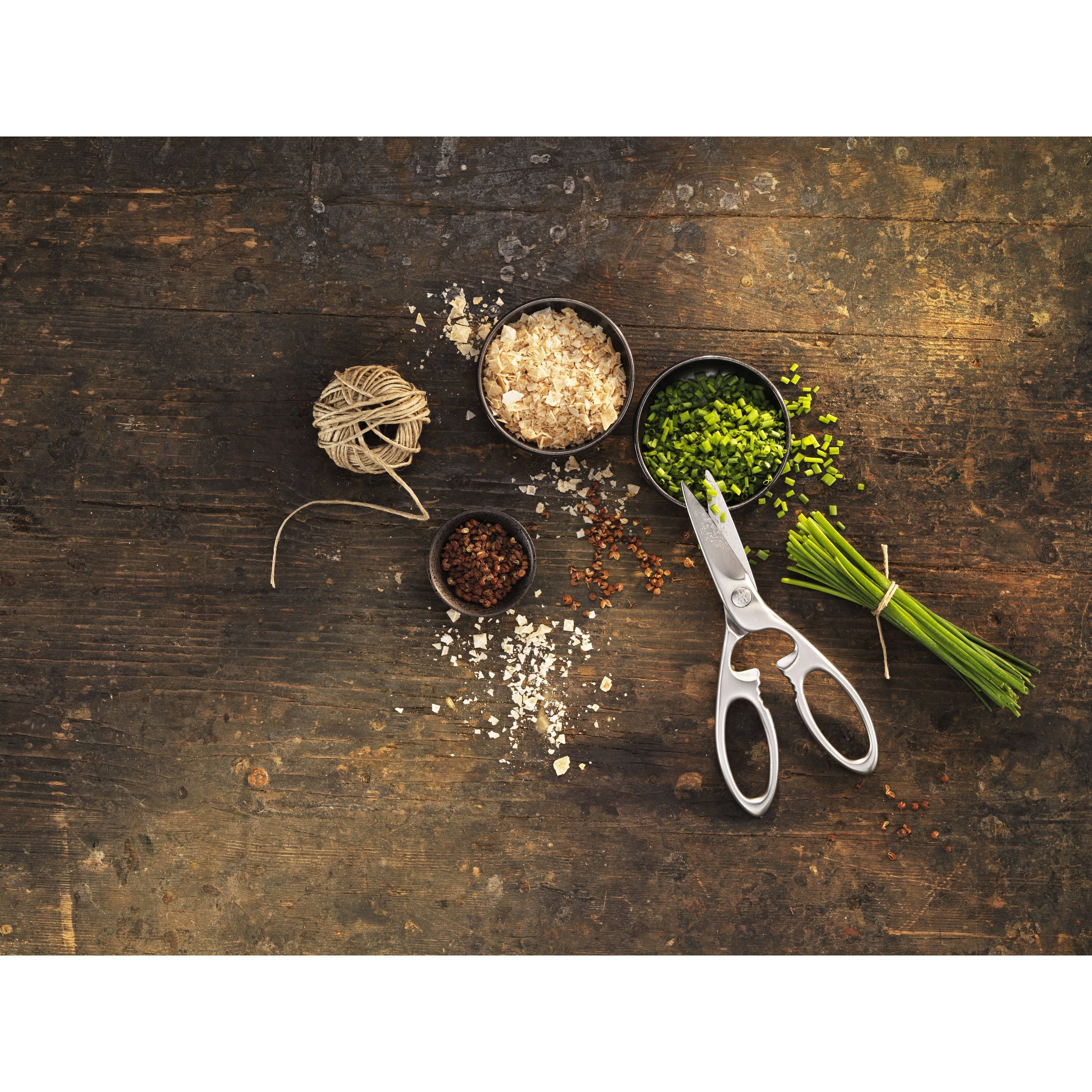 ZWILLING TWIN Select 20 cm, Multi-Purpose Shears, Silver-Kitchen Shear-DECOROLALA