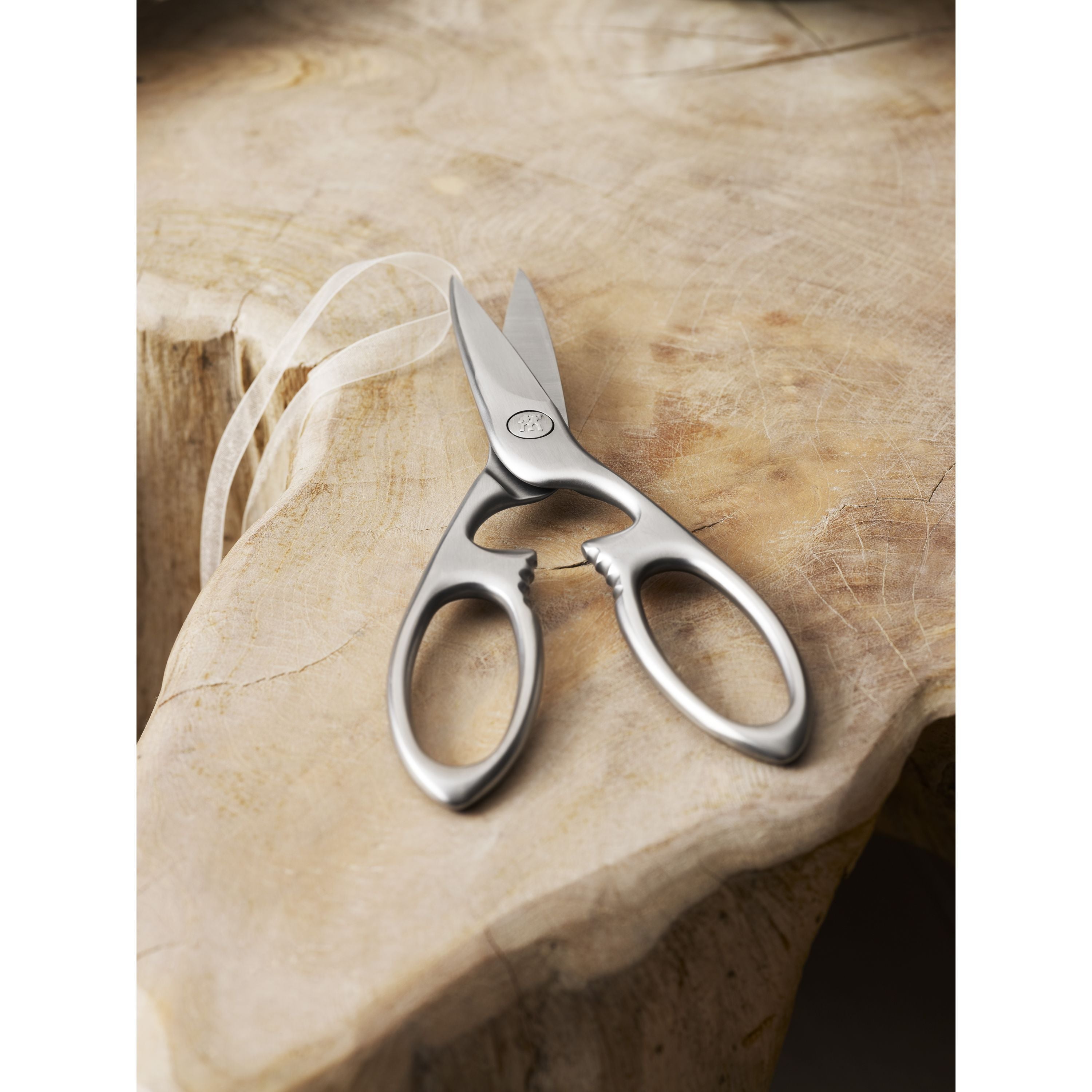 ZWILLING TWIN Select 20 cm, Multi-Purpose Shears, Silver-Kitchen Shear-DECOROLALA