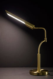 Zane LED Desk Lamp - Antique Brass 17" Adjustable-Lighting-DECOROLALA