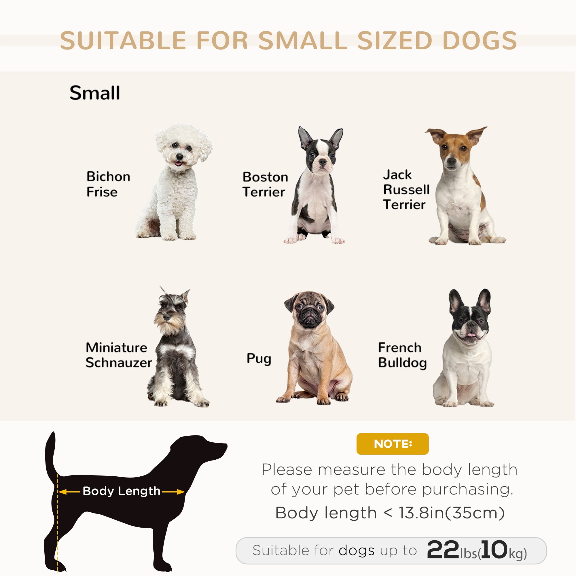 Canapé pour animaux, sofa pour chien, chaise longue et couchage pour animaux avec espace de rangement, petit format, pour chiens de différentes tailles et chats, coussin en éponge, gris clair