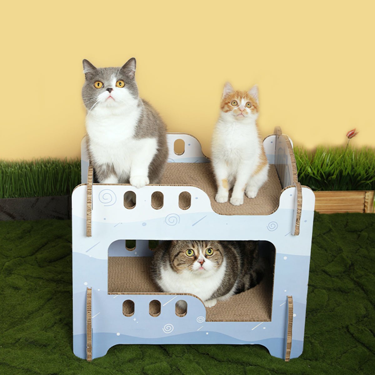 Boys' Dormitory Blue Cat Scratching Board-Living-DECOROLALA