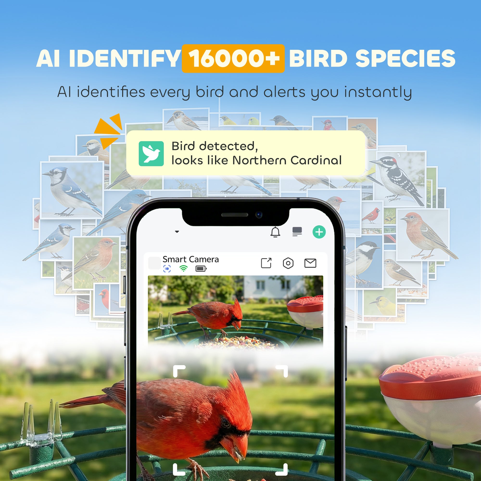 Smart Bird Feeder Camera Solar Powered with AI Identify 16000+ Birds, Auto Video Capture, Motion Detection