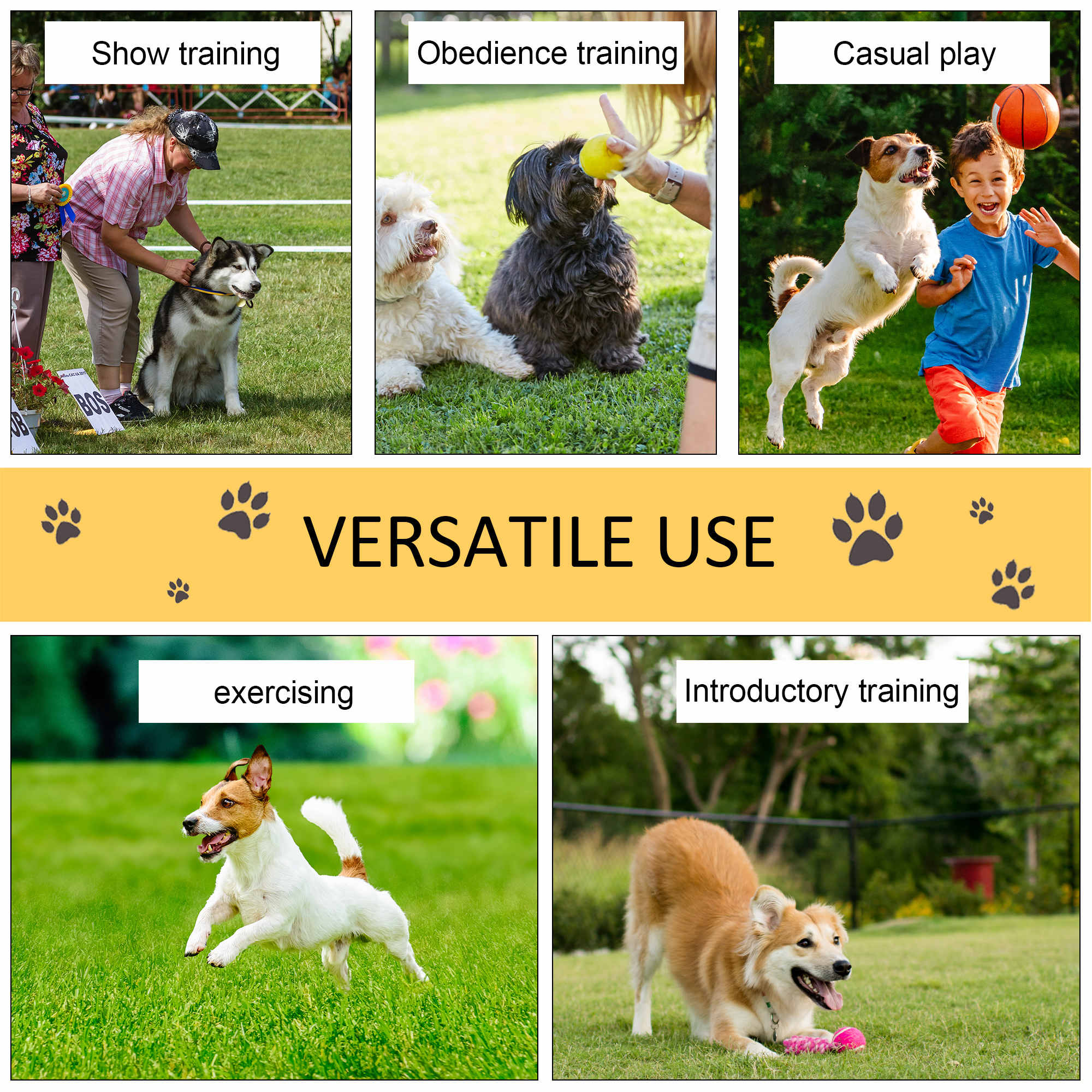 Dog Agility Equipment Set, Portable Dog Agility training equipment for Outdoor Play Run