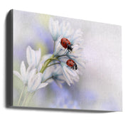 Wall art Ladybirds-canvas-DECOROLALA