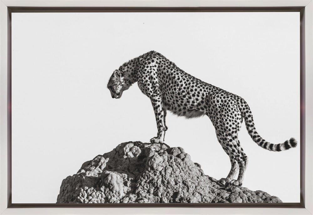 the hunter-canvas-DECOROLALA