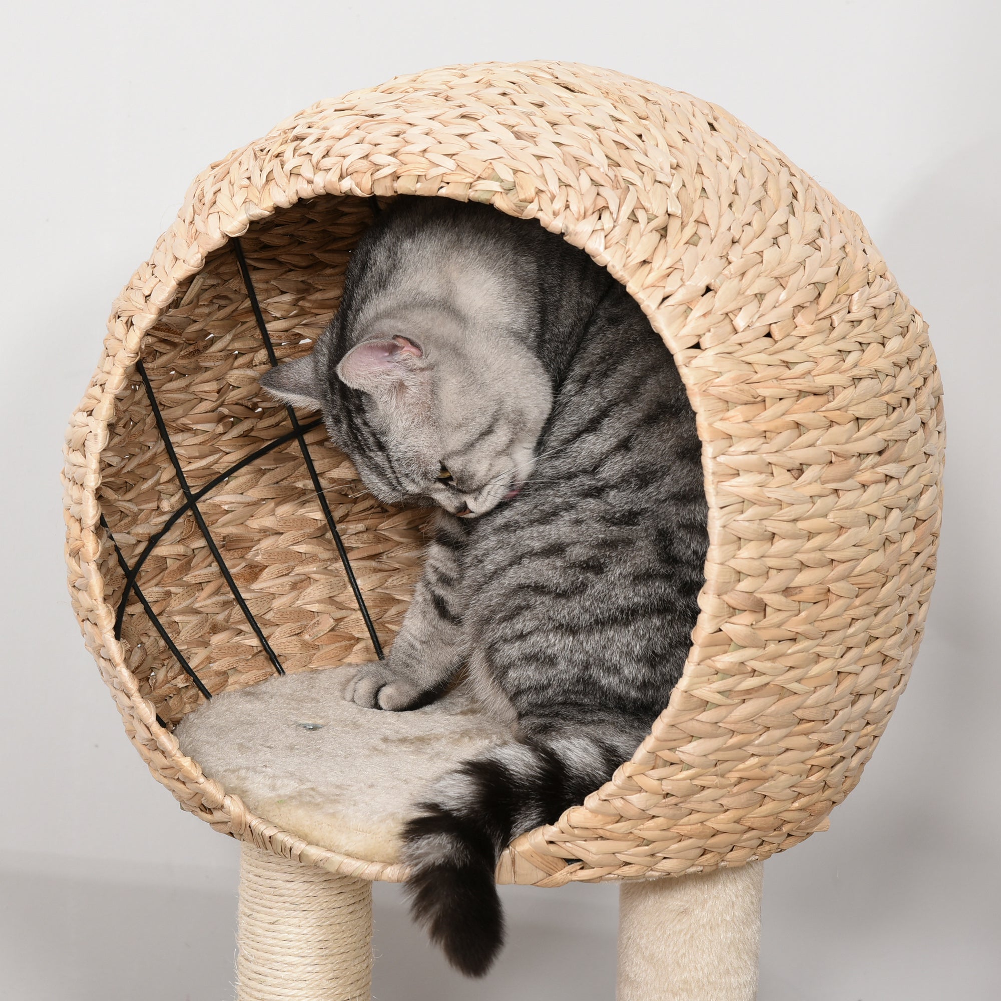 Arbre à chat de 39" de hauteur avec poteau à griffer en sisal, niche, perchoir moelleux, corde suspendue et balle suspendue, beige