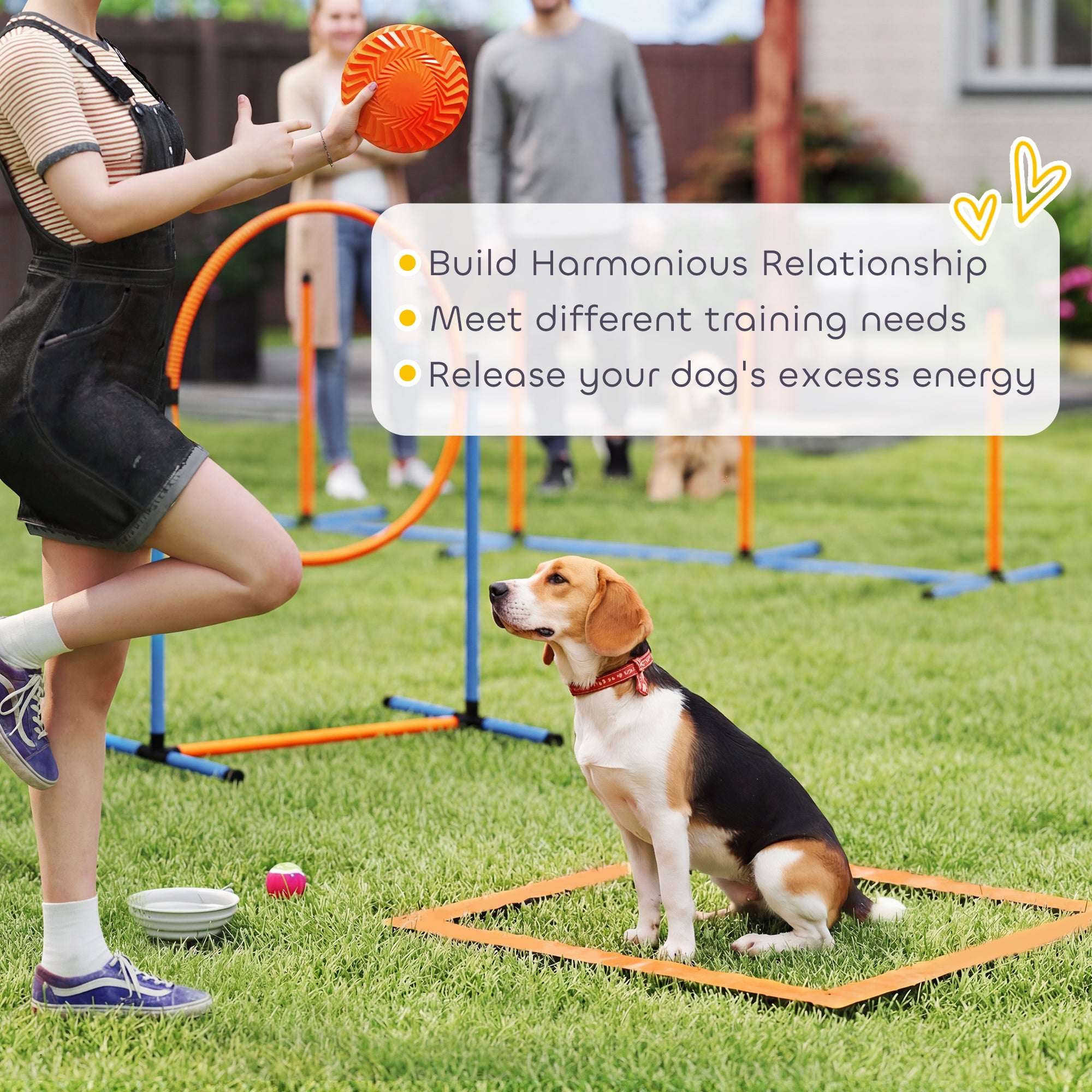 13-Piece Dog Agility Training Equipment Set, Pet Obstacle Course with 2 Tunnels, Adjustable Jumps, Orange Blue