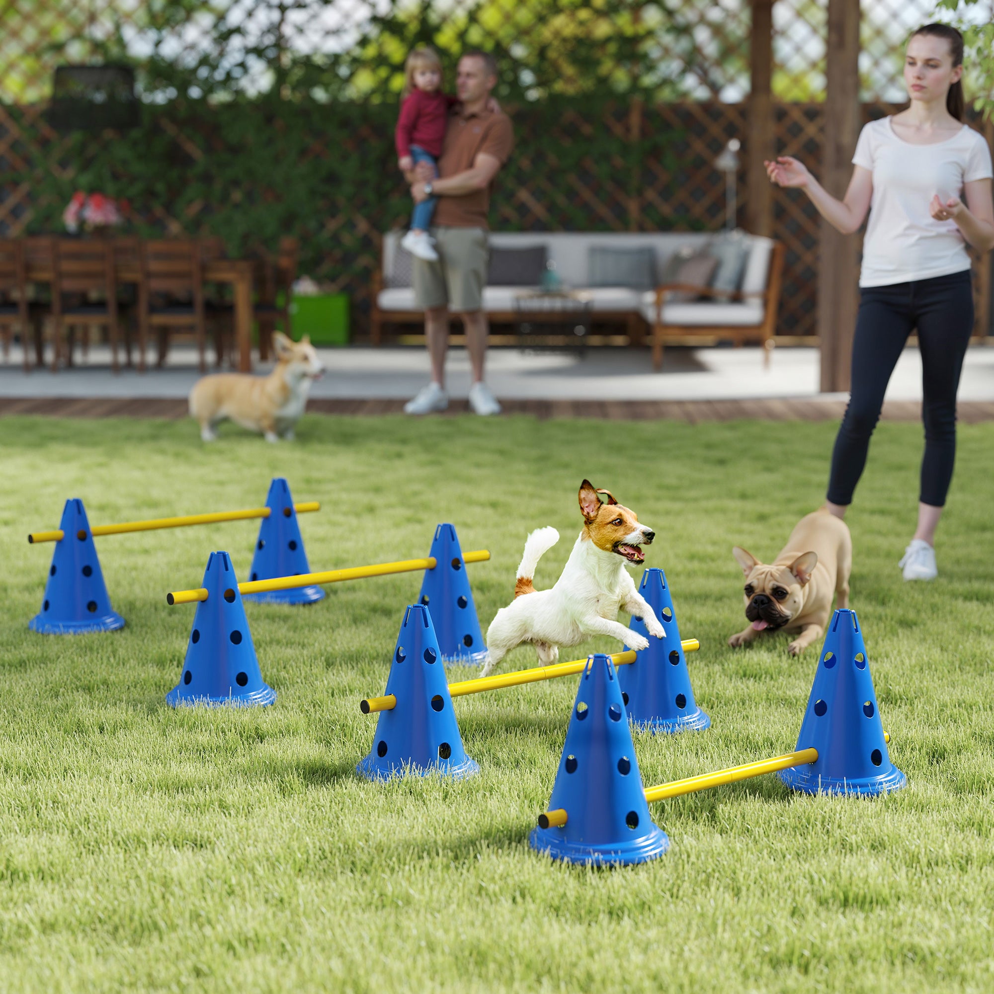 Ensemble de cônes et de haies d’agilité pour chiens, parcours d’obstacles réglable avec 8 cônes et 8 barres, sac de transport, bleu