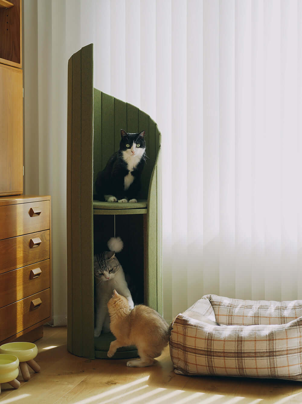 Elegant Cat Tower of Time Tree-Living-DECOROLALA