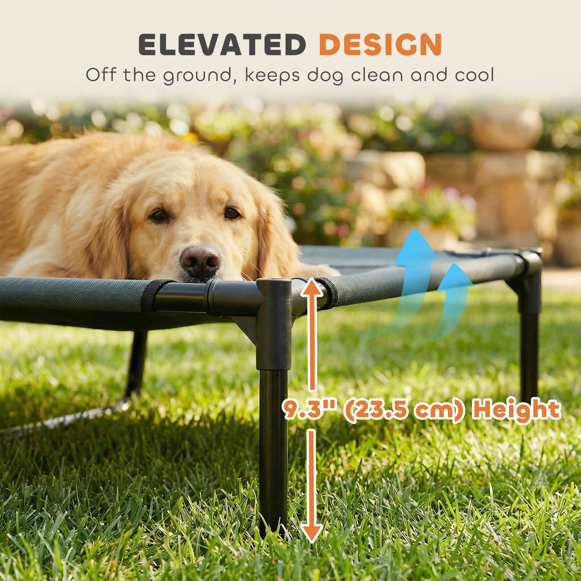 Elevated Dog Bed with Canopy, Portable Raised Dog Cot for XL Sized Dogs, Indoor & Outdoor, 48" x 36" x 43", Grey