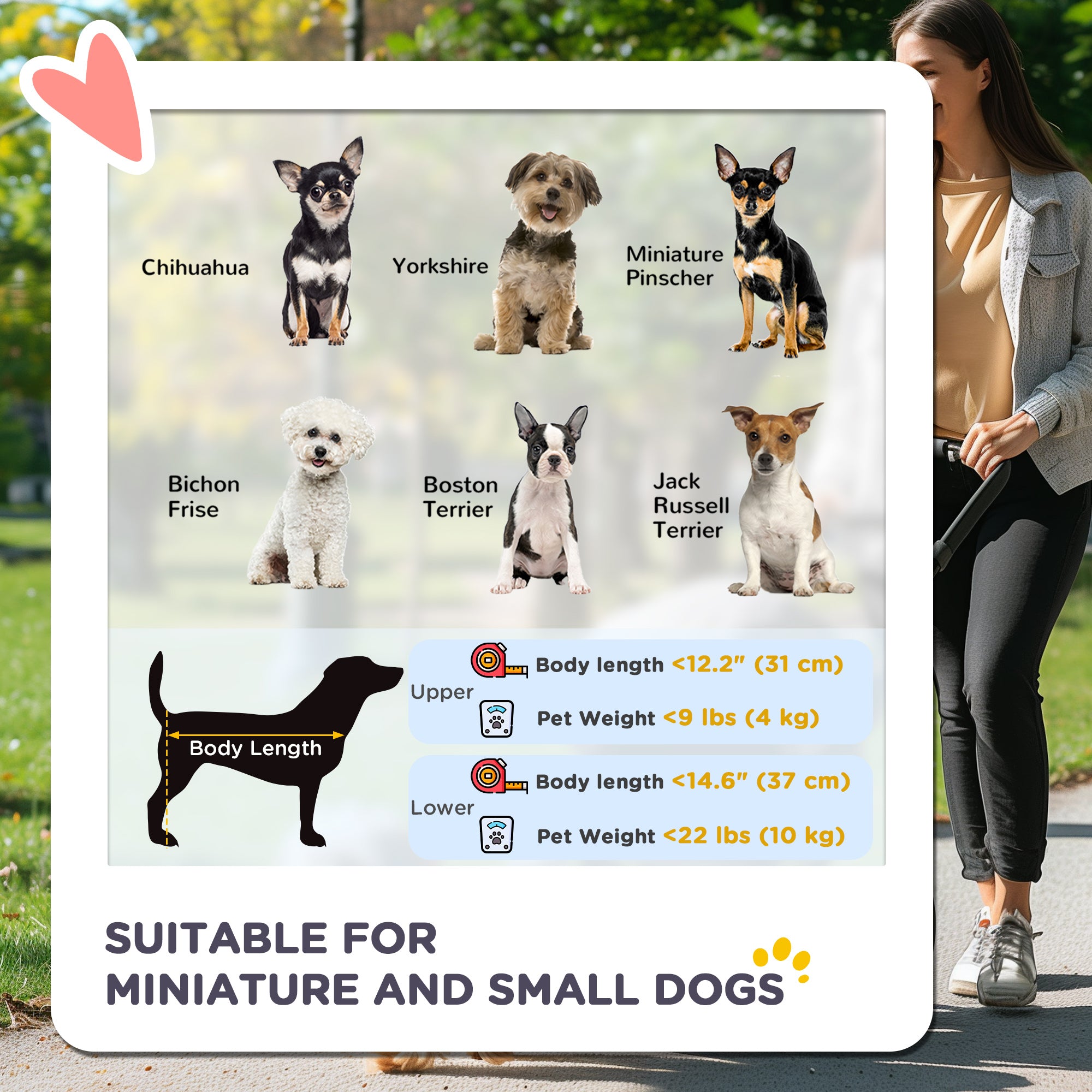 Poussette double 3-en-1 pour petits chiens miniatures et chats, avec sac de transport amovible et pliable, siège auto, bleu