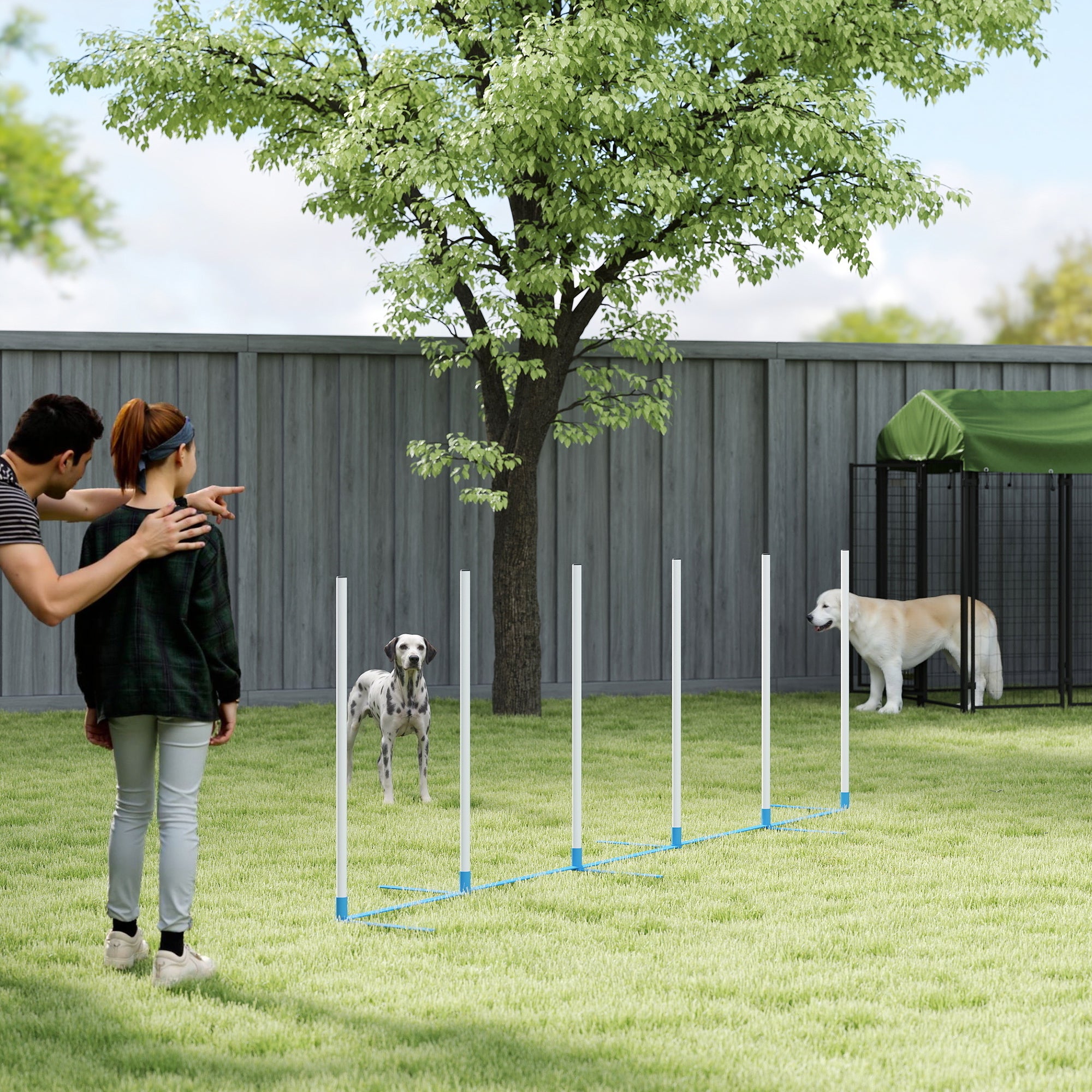 Ensemble d’obstacles réglables d’entraînement à l’agilité canine avec poteaux de slalom et sac de rangement, pour chiens domestiques, jeux et exercices en extérieur, bleu et blanc