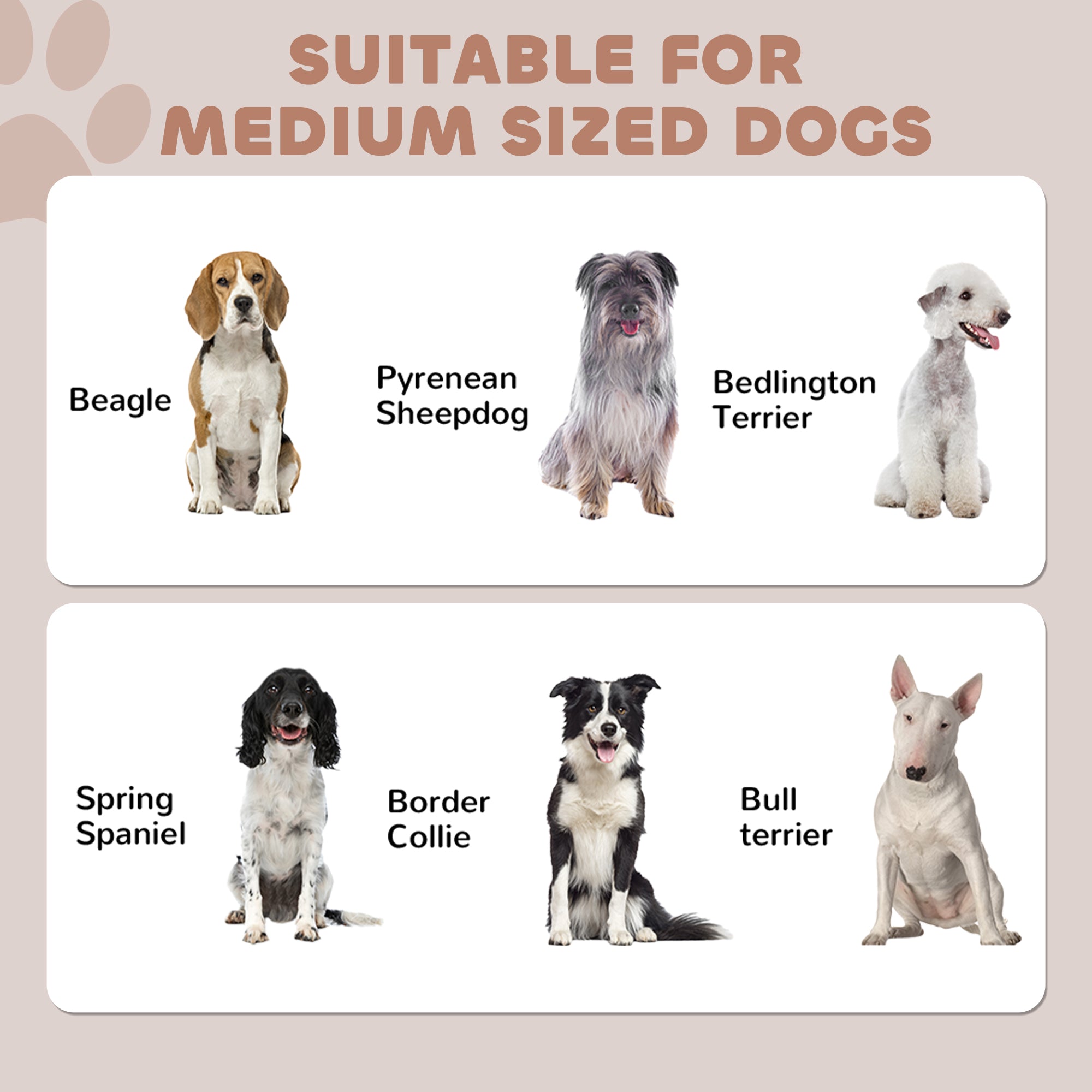 Conteneur de stockage pour aliments pour animaux, station d’alimentation pour chiens avec panneau réglable et crochets, pour chiens de taille moyenne, noir