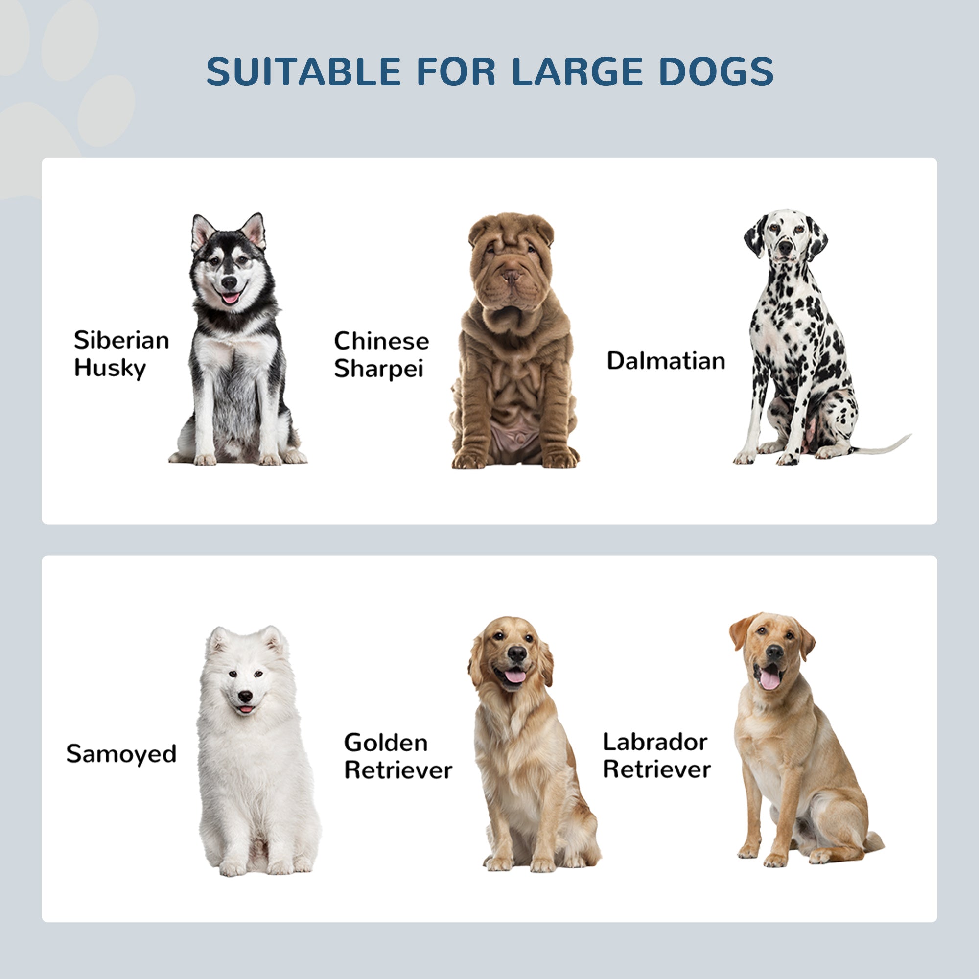 Elevated Dog Bowls for Large Dogs Pet Feeding Station with Stand, Storage, 2 Stainless Steel Food and Water Bowls, Grey