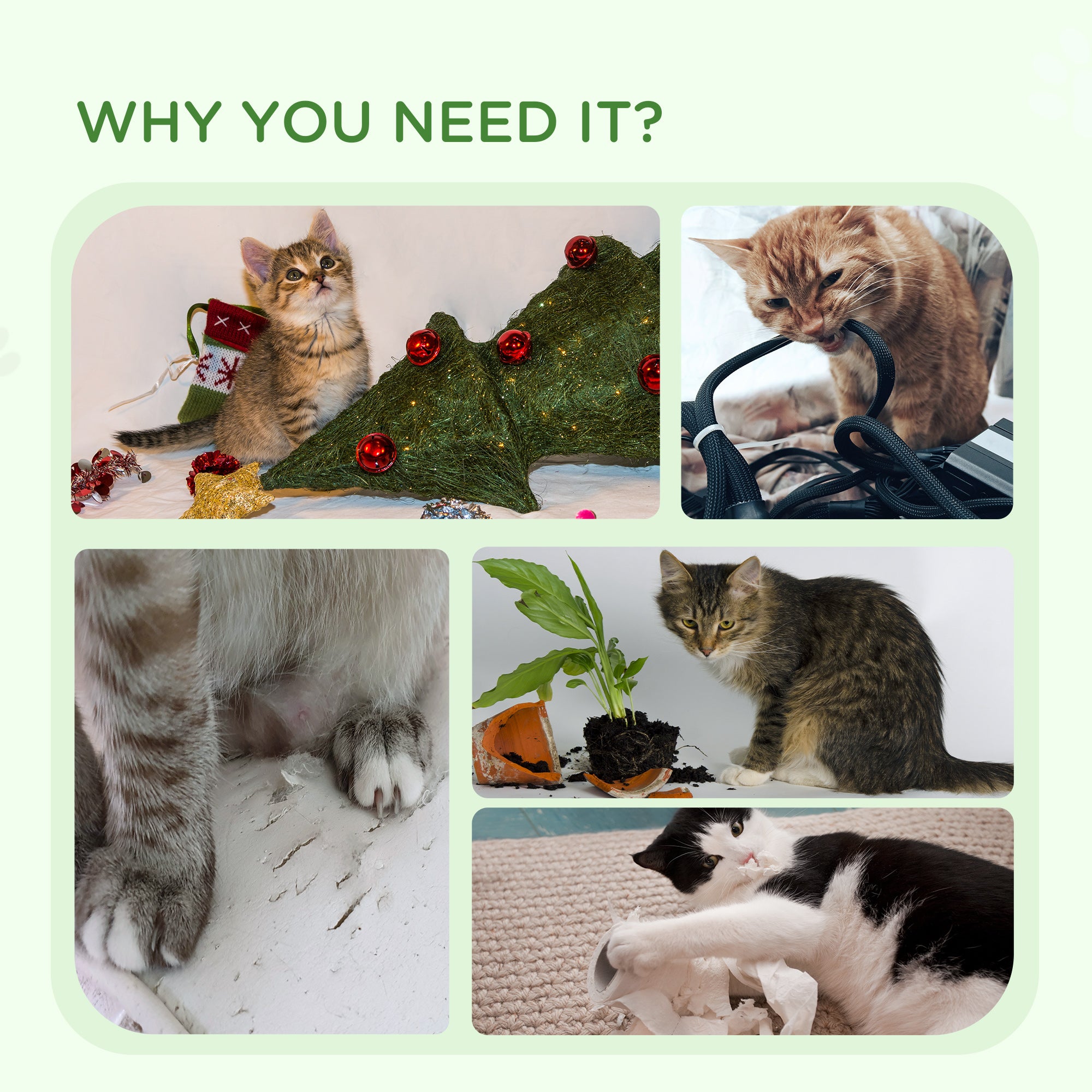 Condo pour chats d’intérieur, petit arbre à chat avec poteaux à griffer en jute, plateforme supérieure, balles suspendues, blanc